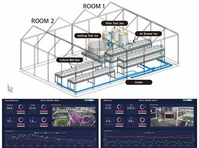 Evaluating crop growth between hydroponics and aquaponics with different light inputs
